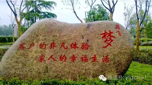 微信图片_20250225133005